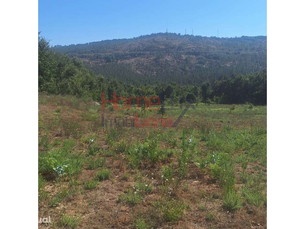 Terreno na Região de Gavião - Grande imagem: 2/9