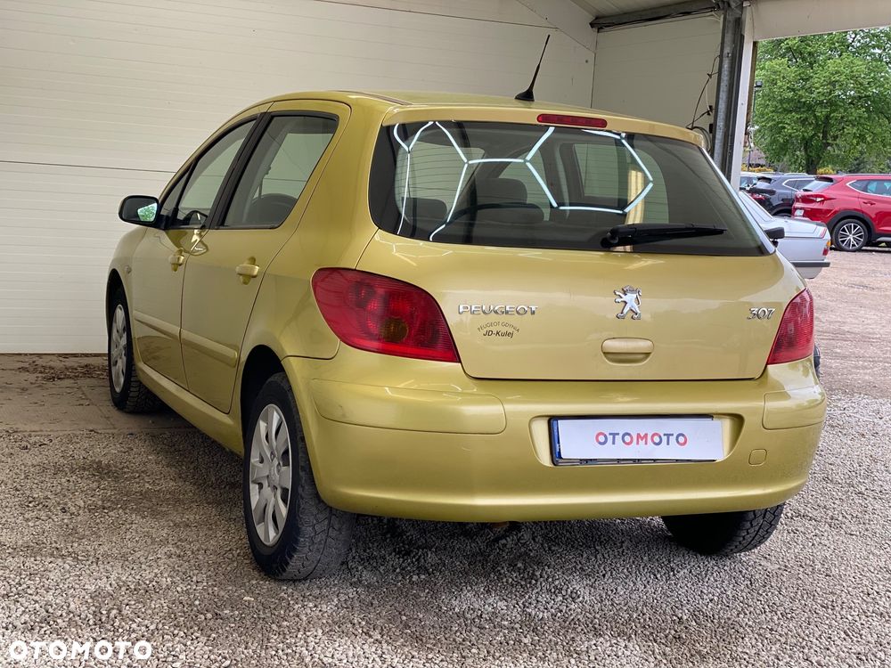 Peugeot 307 1.6 Premium - 26