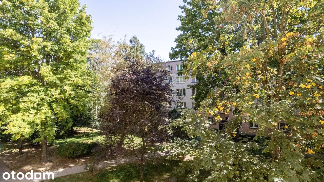 Wyposażona kawalerka w spokojnej okolicy! Na Kozłówce!