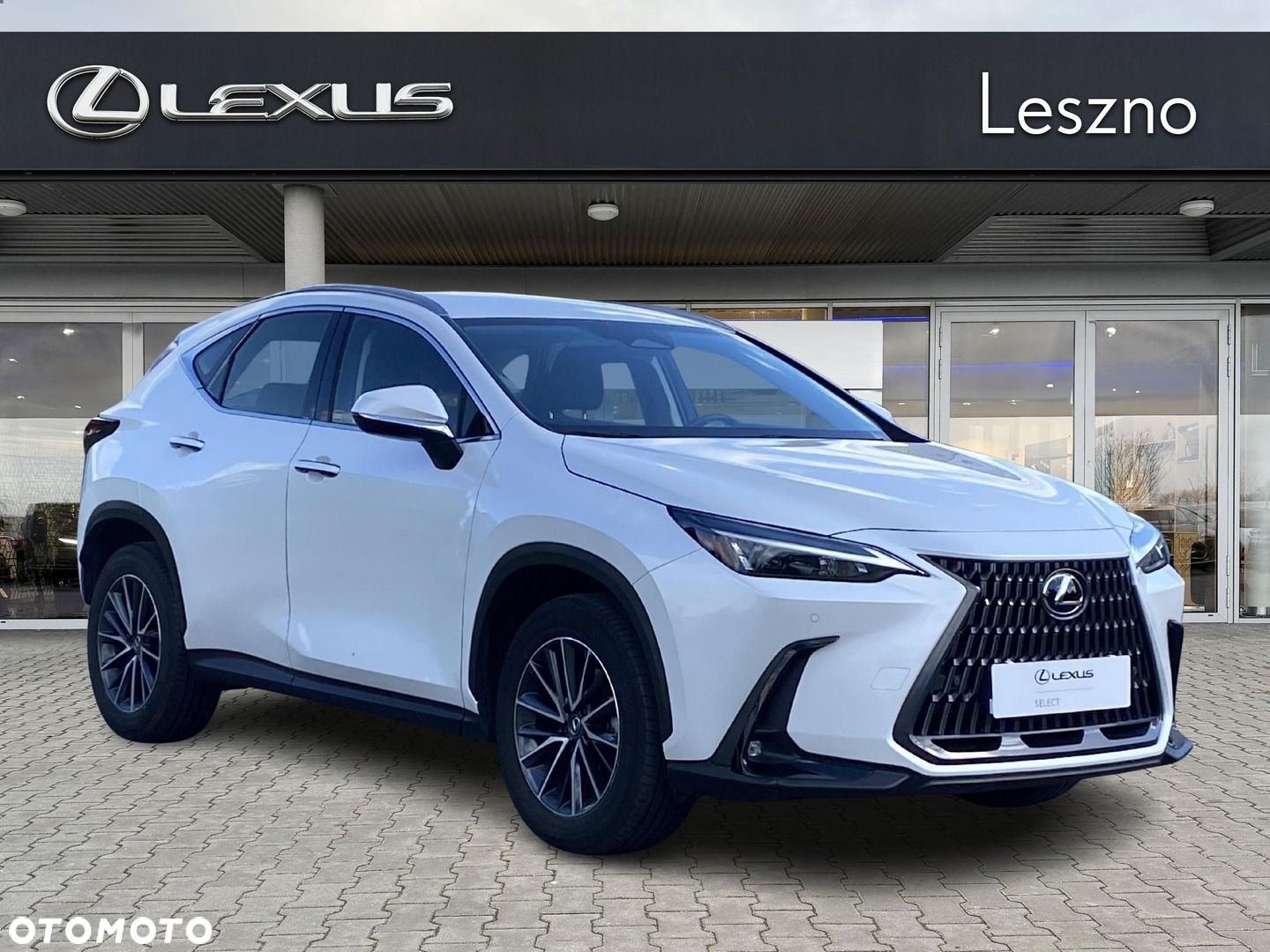 Lexus NX - 5