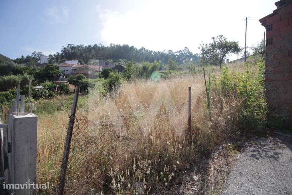 TERRENO|RUSTICO |VENDA |  EIRAS | SÃO PAULO DE FRADES | COIMBRA | INVE - Grande imagem: 3/6
