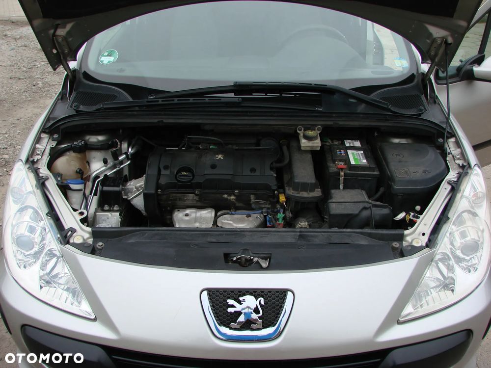 Peugeot 307 - 17