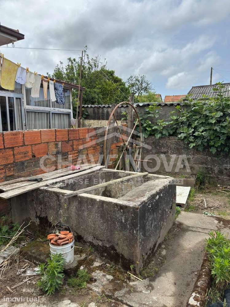 Moradia Térrea P/ Recuperar em Oliveira do Douro - Grande imagem: 3/8