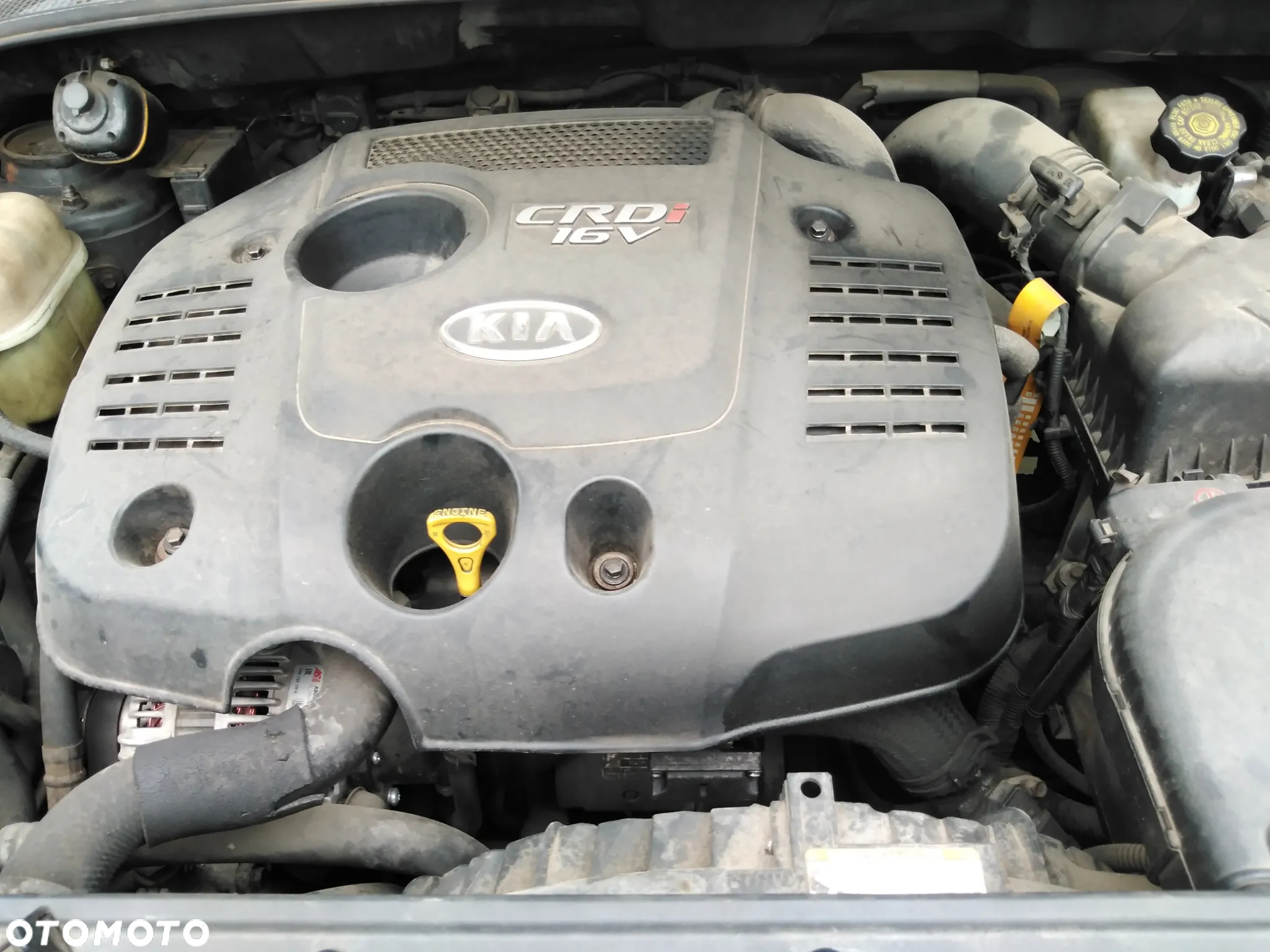 Kia Sportage - 14