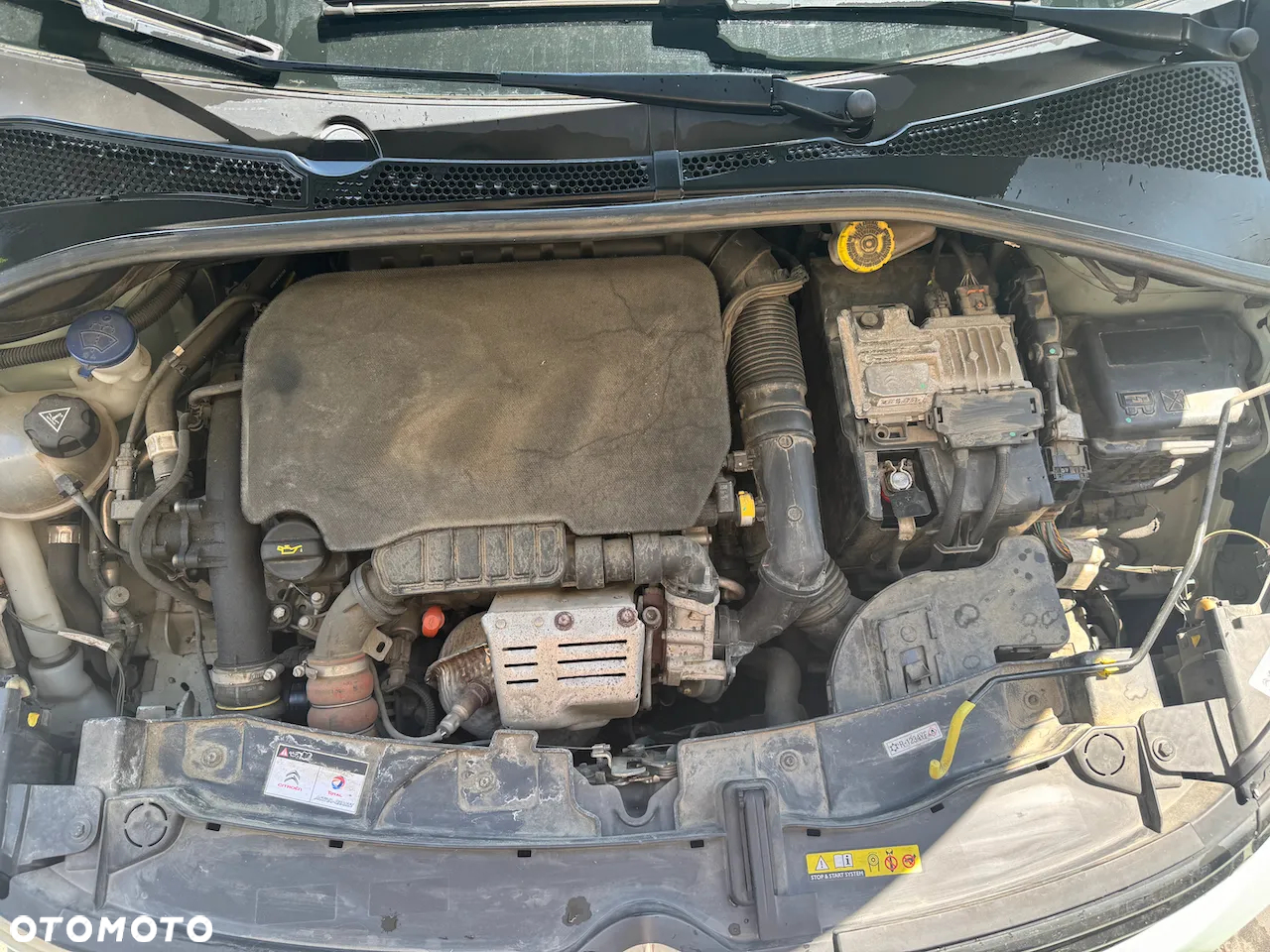 Citroën C3 1.2 PureTech Shine EAT6 - 8