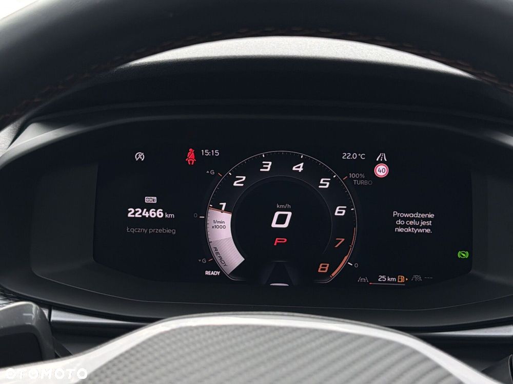 Cupra Terramar - 21