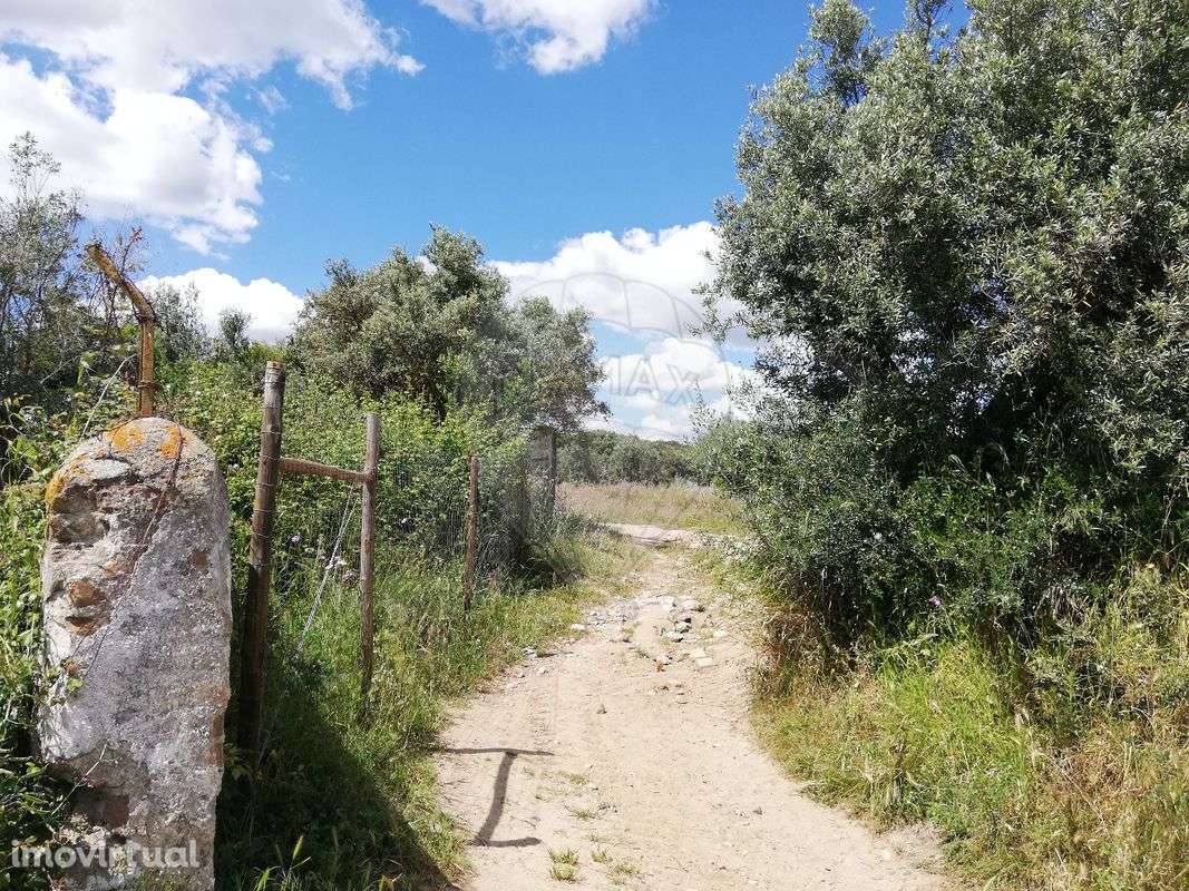 Terreno  para venda - Grande imagem: 2/21