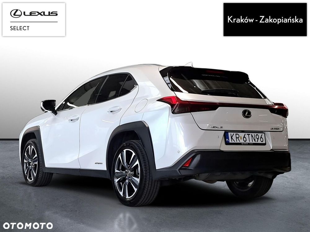Lexus UX 250h GPF Business Edition 2WD - 4