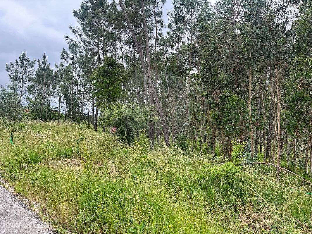 Terreno  para venda - Grande imagem: 2/4