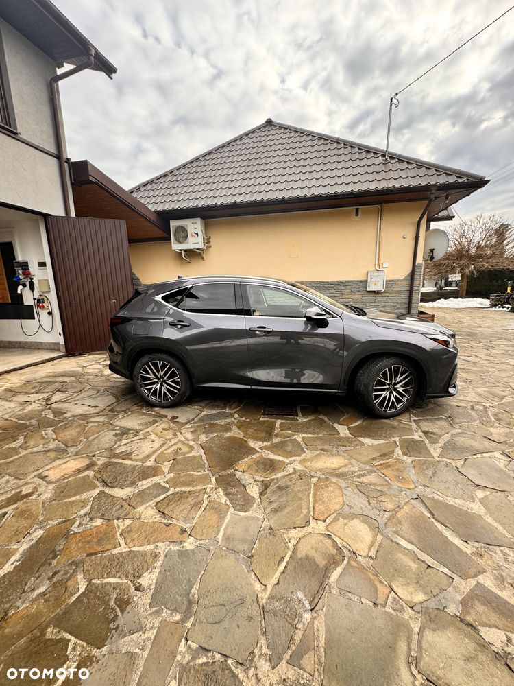 Lexus NX 450h+ Omotenashi AWD - 4