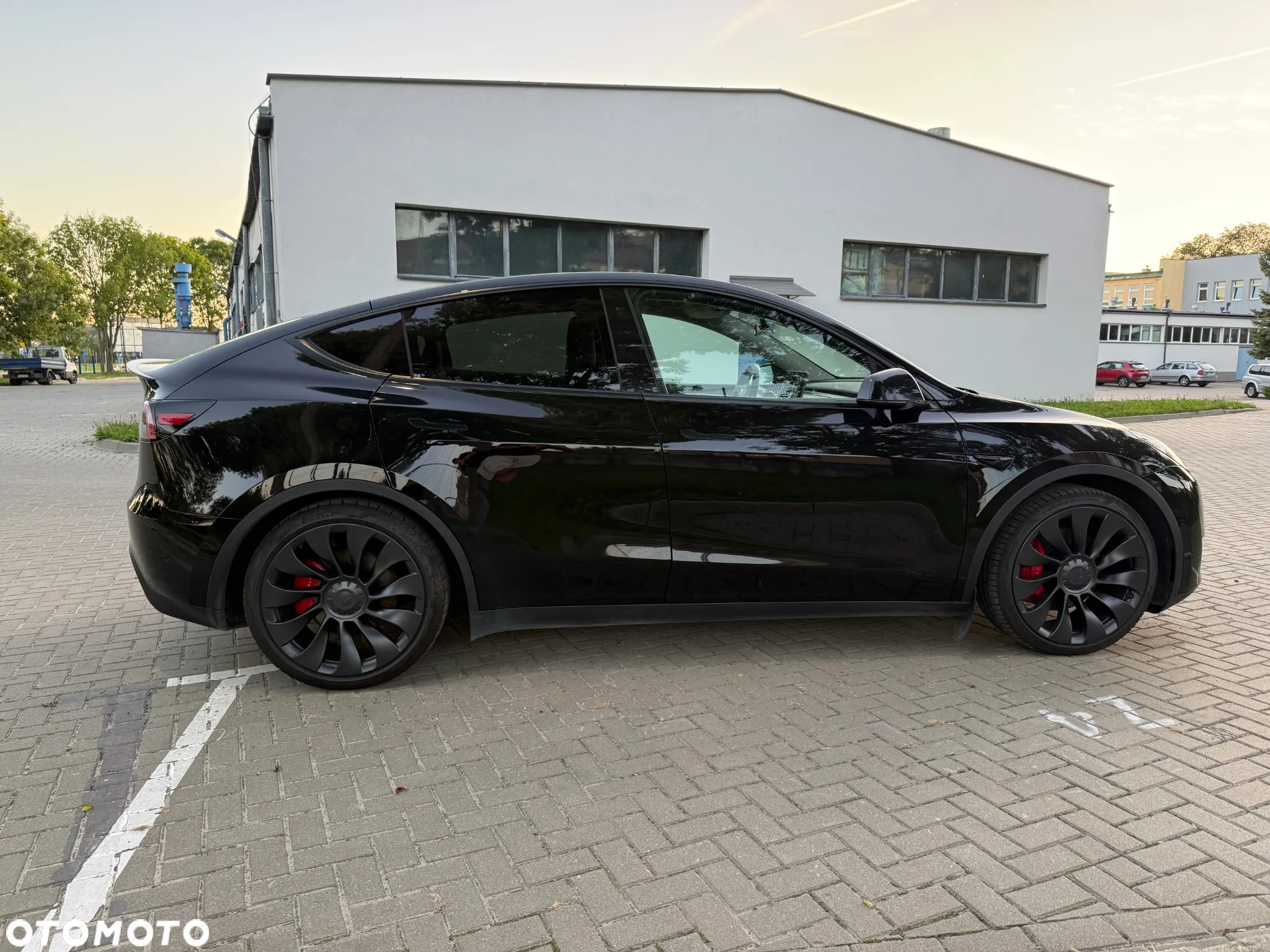 Tesla Y Performance AWD - 7