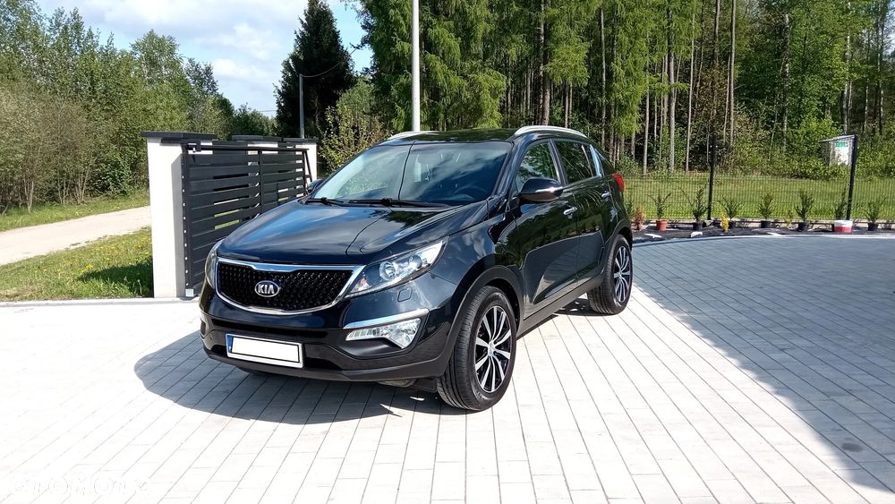 Kia Sportage - 1