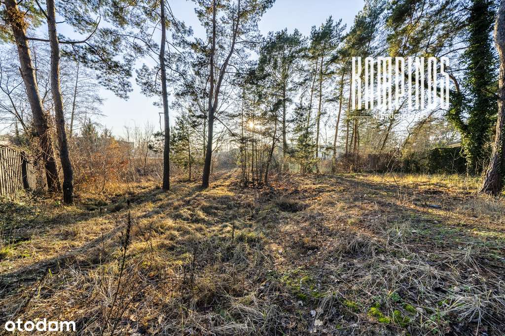 Działka z widokiem na Kampinoski Park Narodowy-0