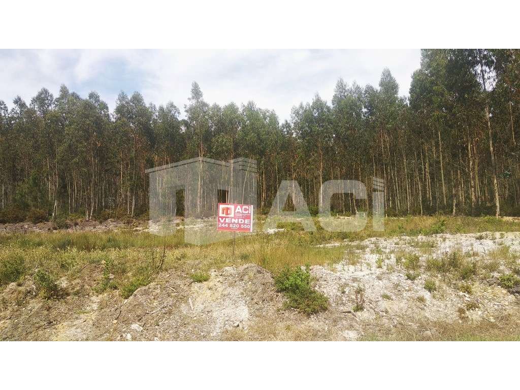 TERRENO - Milagres, Leiria - Grande imagem: 2/6