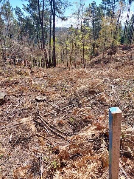 Vendo terreno Urbanizável - Grande imagem: 4/8