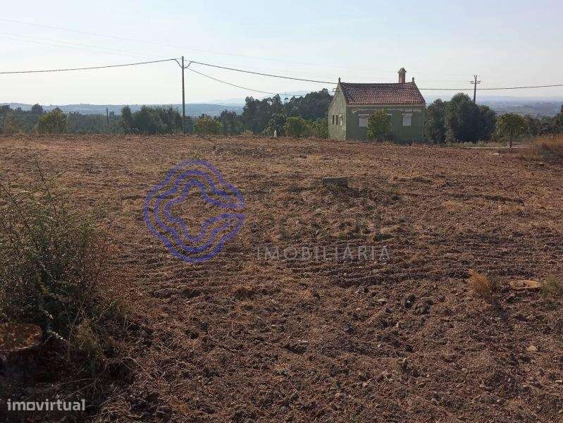 Terreno com 7.050m2 para a construção até 4 moradias, perto de Tomar n - Grande imagem: 5/31