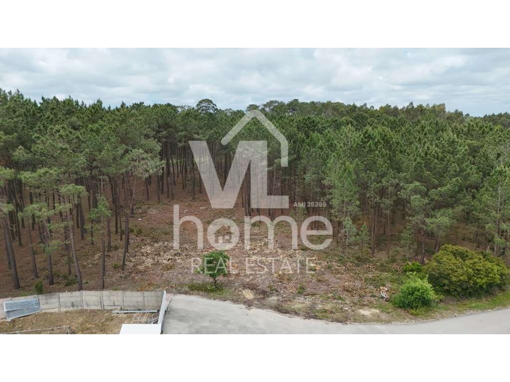 Terreno com Potencial para Moradias - Natureza e Conveniência de Mã... - Grande imagem: 3/17