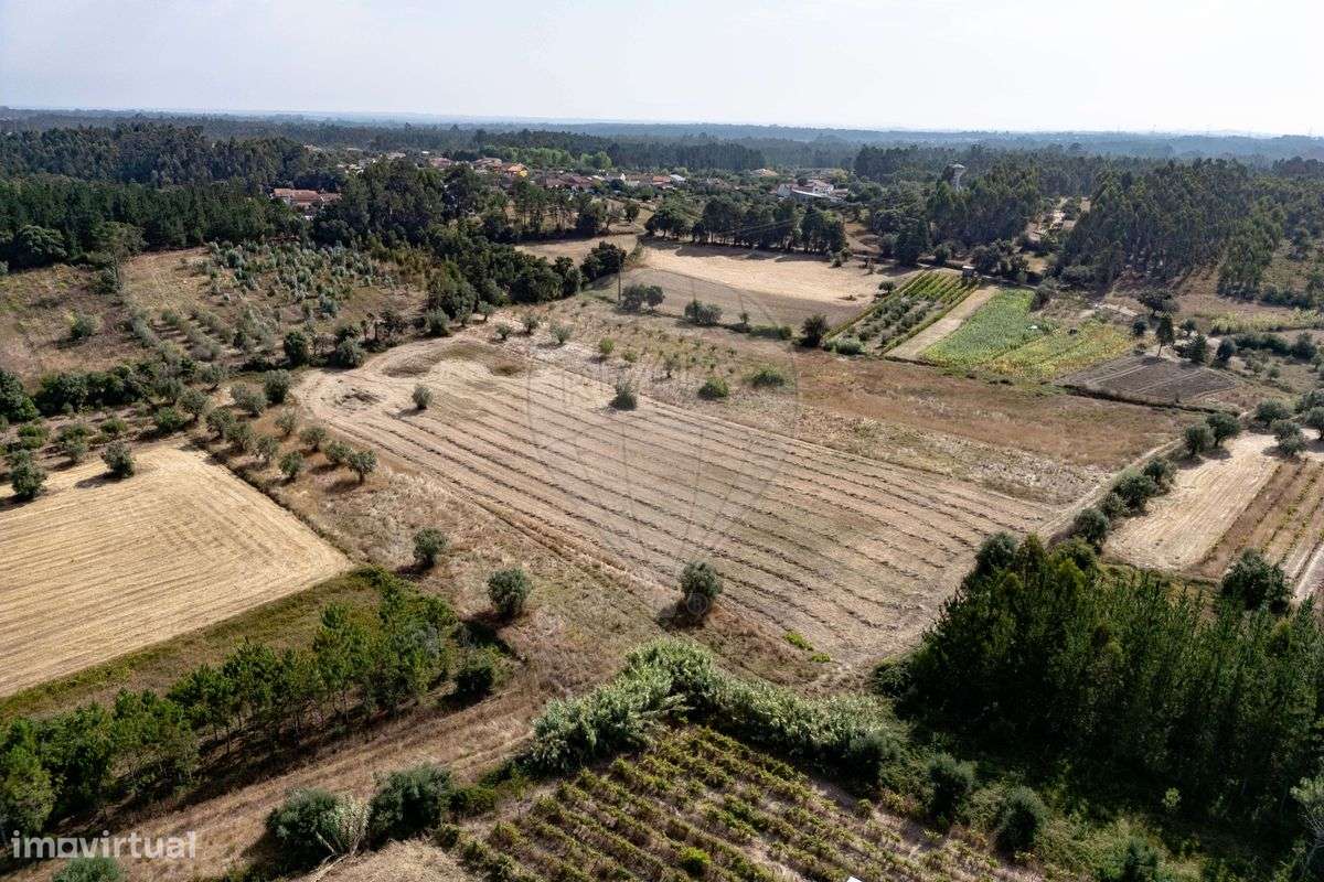 Terreno  para venda - Grande imagem: 4/8