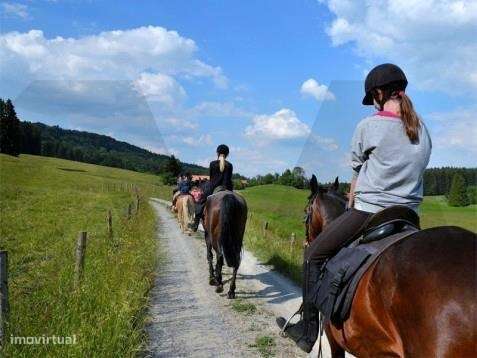 Herdade da Lameira - Country Hotel, Alter Chão, Alentejo, Portalegre,-46