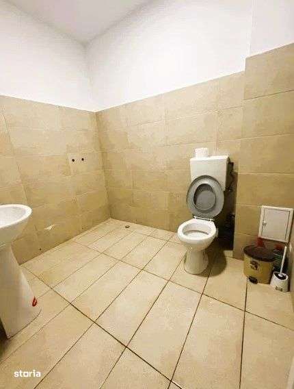 Spatiu Comercial 57 mp Doamn Stanca - Imagine principală: 3/3