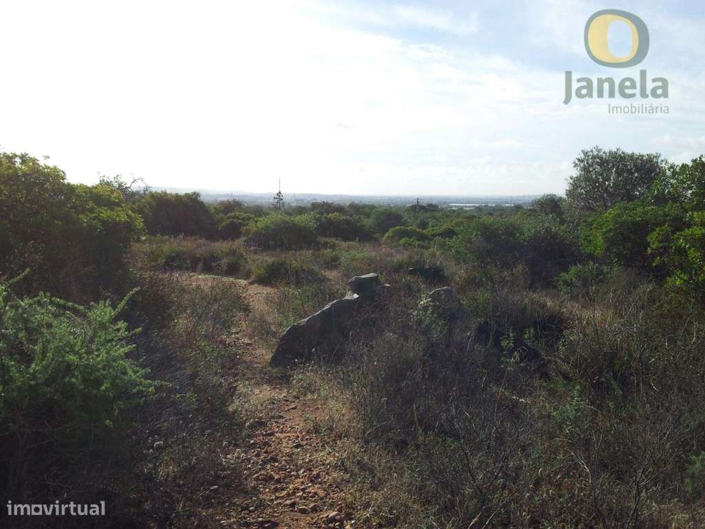 Terreno junto a Santa Bárbara de Nexe - Grande imagem: 2/11
