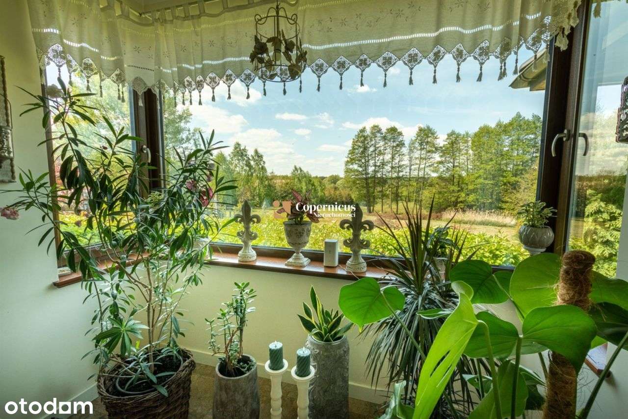 Super dom, duża działka z grillem i warzywniakiem.-9