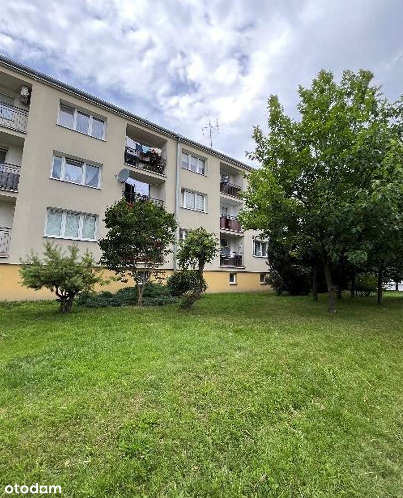 Międzyrzec Podlaski, Udział 1/2 w lokalu, sprzeda syndyk-1