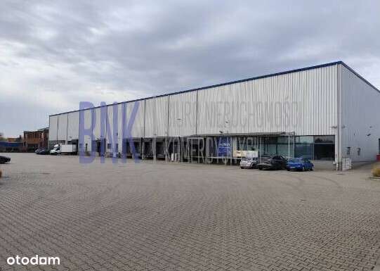 Magazyn Warszawa, Ursus - świetna lokalizacja - Pełny obrazek: 1/14