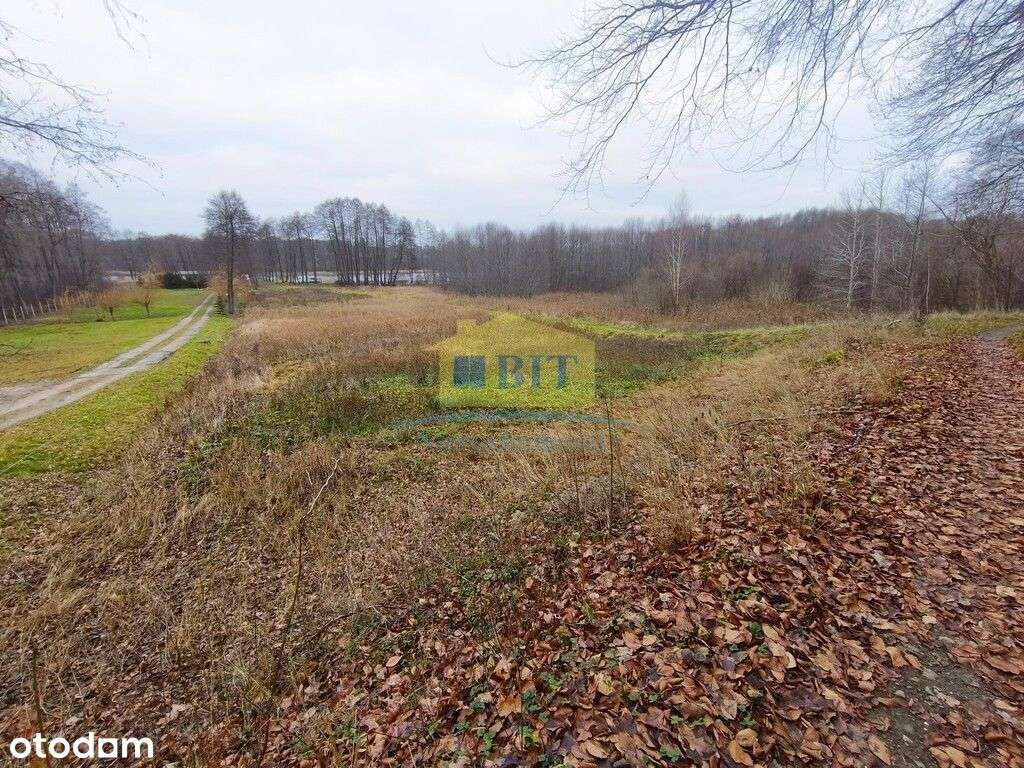 Działka z dostępem do jeziora, Łubowo-15