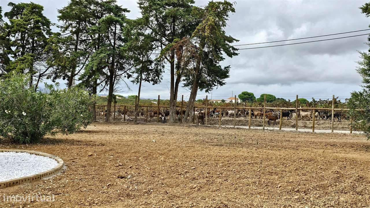 Moradia Isolada T4 Venda em Aveiras de Cima,Azambuja-43