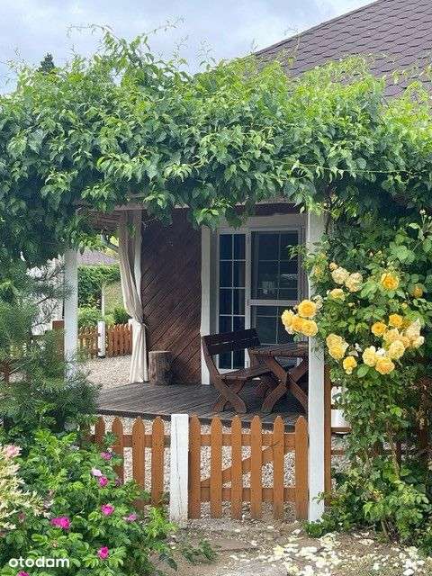 Leśna Oaza – Twój dochodowy azyl na Kaszubach-12