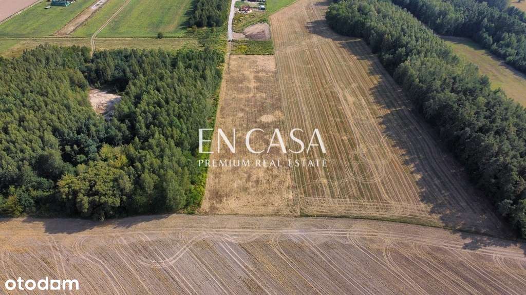 Grunt pod kameralne osiedle | Wola Krakowiańska - Pełny obrazek: 5/12