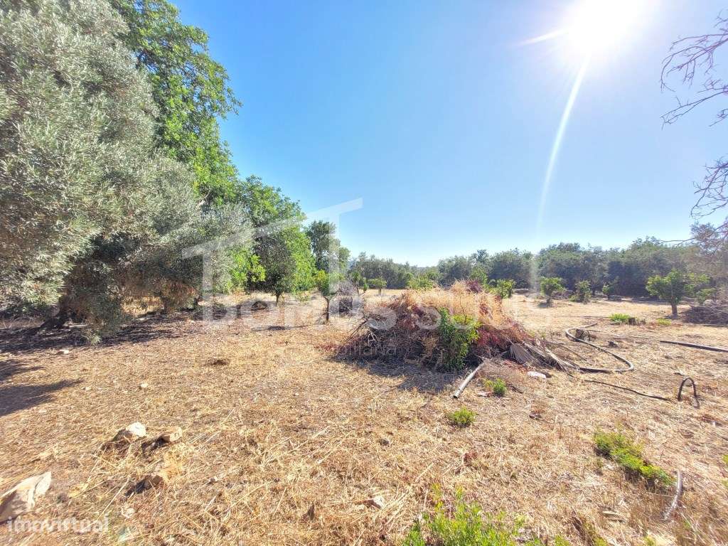 Terreno para construção de moradia-2