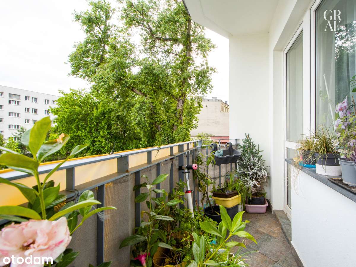 ✅ 2 oddzielne pokoje ✅ do wprowadzenia ✅ ciche ✅-10