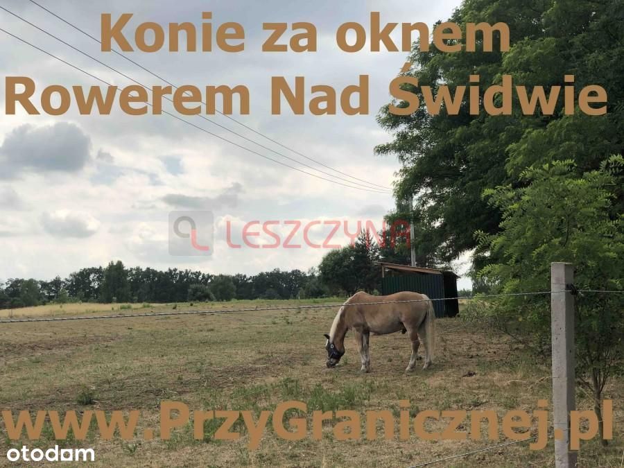 ul. Graniczna / Konie / Rezerwat Świdwie
