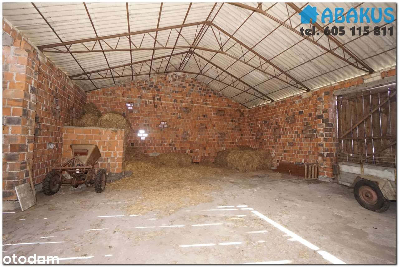 Na sprzedaż dom + bud. gospodarcze + 1,15 ha - Modlibogowice-13