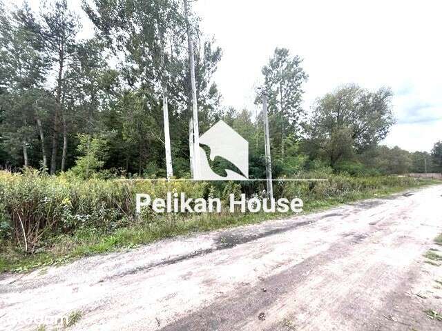 110/14136/OGS - Pełny obrazek: 5/5