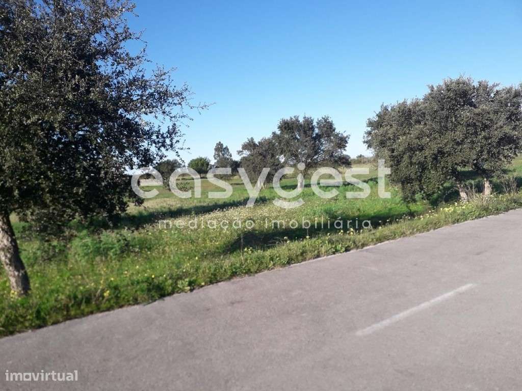 Terreno Misto com viabilidade de construção em Craveira do Norte - Grande imagem: 5/22