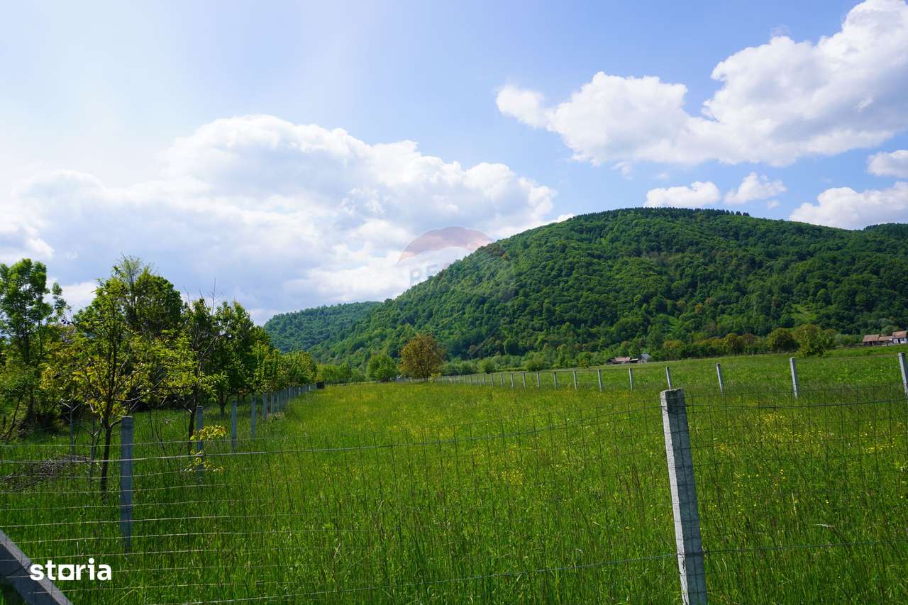 Teren 2,486mp Sighetu Marmatiei / Strada Constantin Dobrogeanu-Gherea - Imagine principală: 3/5