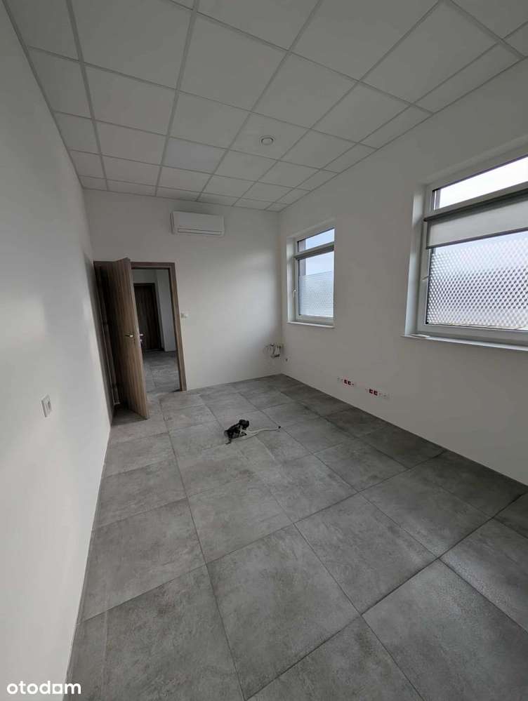 Lokal użykowy na wynajem - Pełny obrazek: 5/15