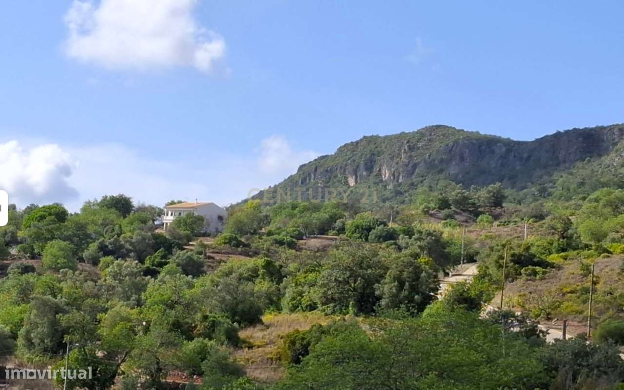 Terreno em Pé de Erva, com Ruína e Potencial de Construção, a 10 min-9