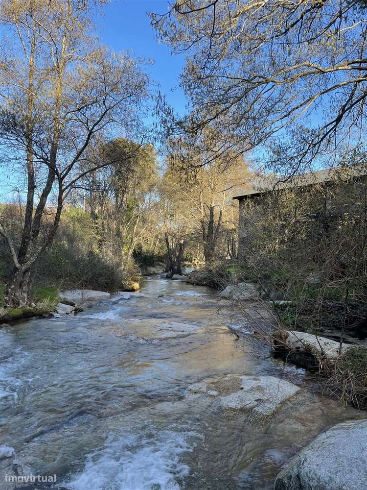 Moradia Isolada T3 Venda em Louriçal do Campo,Castelo Branco-51