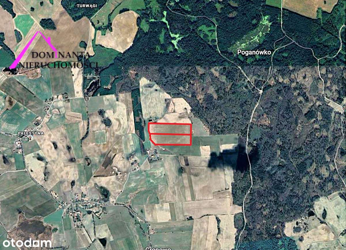 Działki rolne blisko lasu na Mazurach, 10 ha.-10