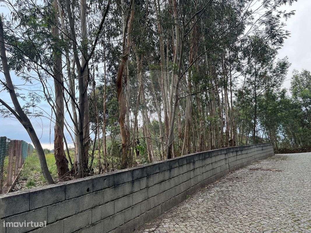 Terreno  para venda - Grande imagem: 2/7