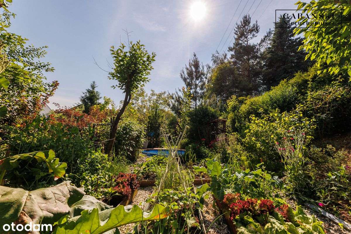 Dom na sprzedaż - Ołpiny-5