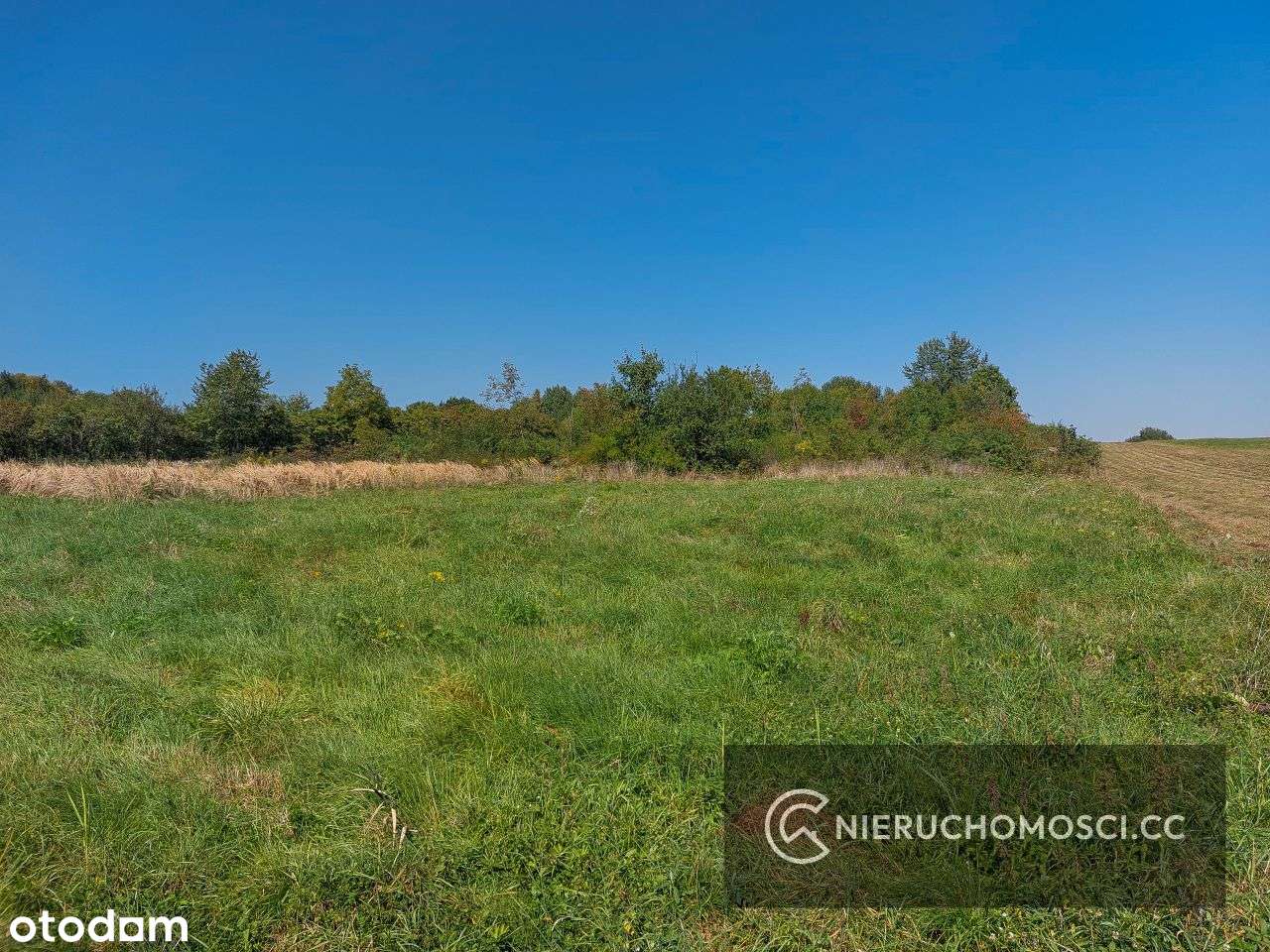 Działka Budowlana Myślenice 31ar! - Pełny obrazek: 3/12