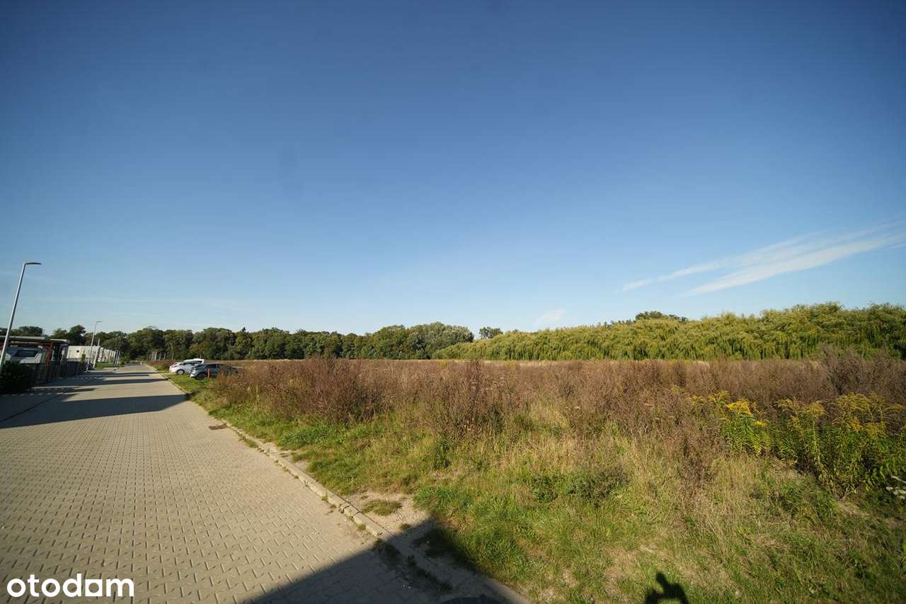 Jedna z ostatnich działek w Dąbrówce! Okazja!-5