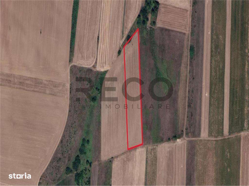 Teren mare extravilan in Uileacu de Munte - Imagine principală: 3/5