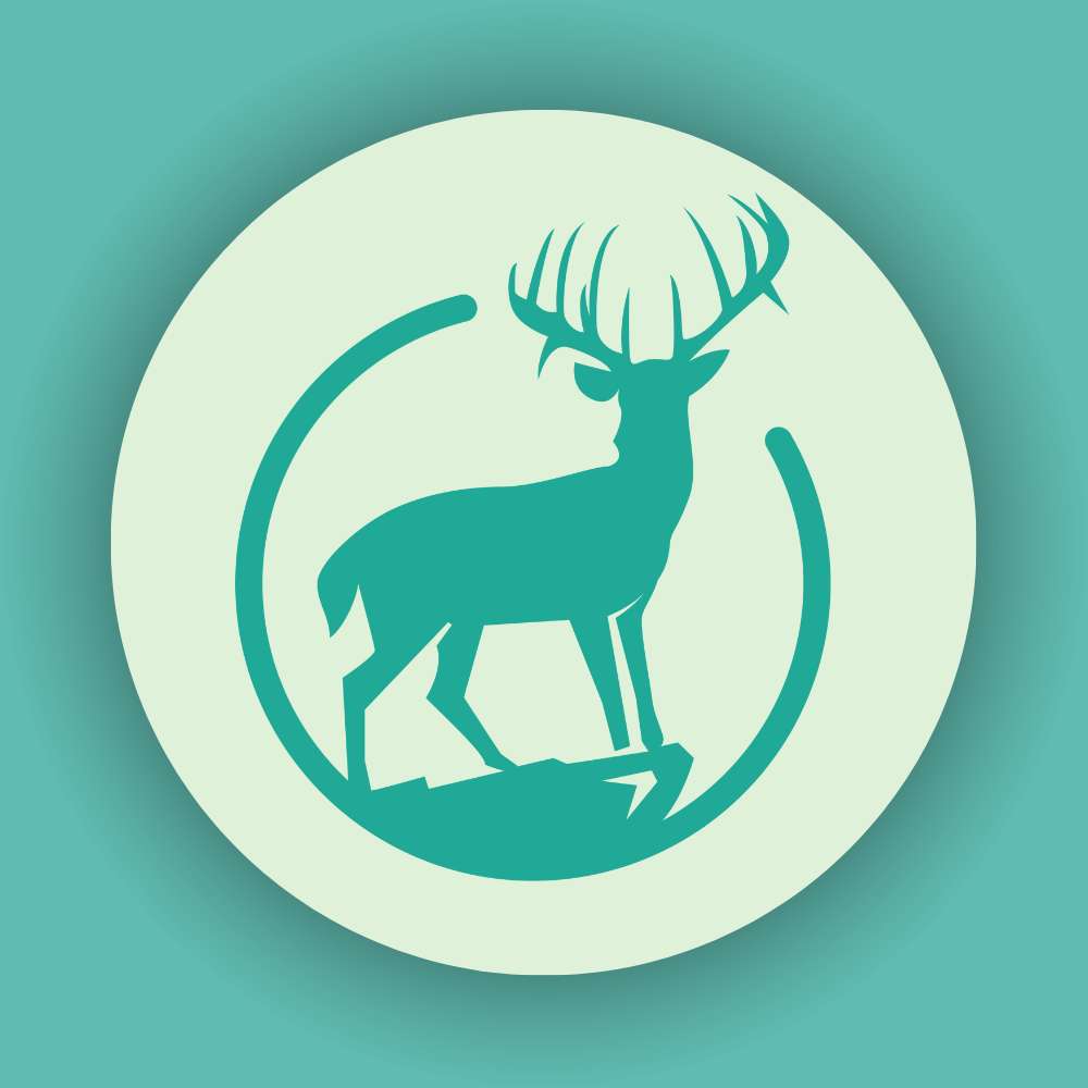 Vânătorilor Acasă