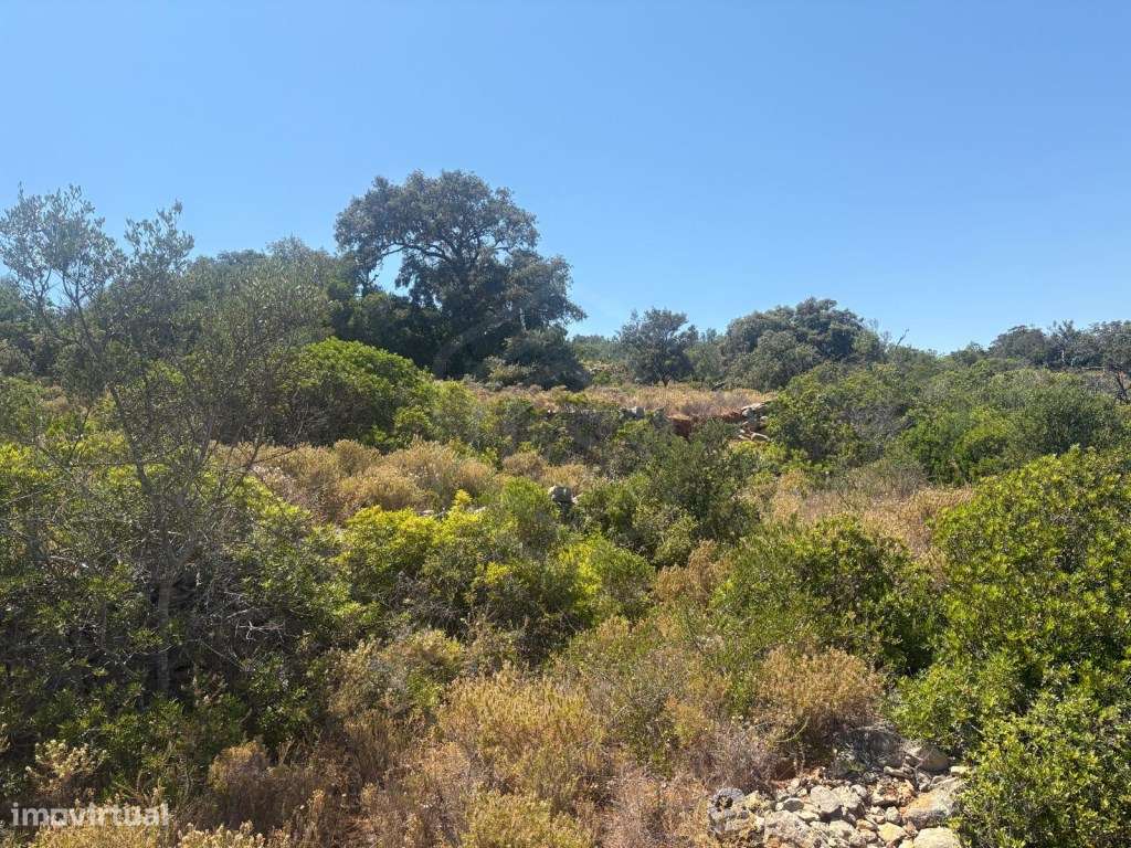 Terreno Rústico com 1.900m2, Loulé, Algarve - Grande imagem: 4/18